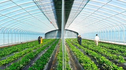 沂河新區:村級民生實事系列七:團林工作區