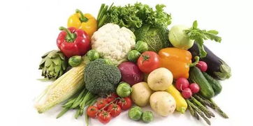 荷蘭阿姆斯特丹國際果蔬展預覽 與農產品建立起電子商務協同的各種方式