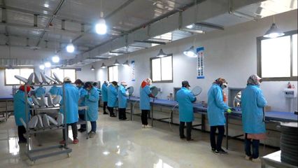 寧縣:穩(wěn)就業(yè) 補強鏈 “鄉(xiāng)村就業(yè)工廠”為鄉(xiāng)村振興注入內生動力