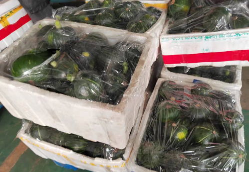 解決產銷信息不對稱,嘉善農產品經紀人為市場與種植戶架起橋梁