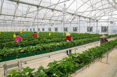 清遠連樟村:打造鄉(xiāng)村振興示范樣板