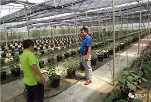 農牧人參觀園廚坊農業(yè)基地 雙方共商食品安全之道