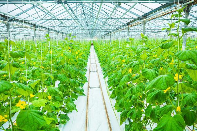 政策青睞!鄉(xiāng)村產業(yè)要起飛,全鏈路是重要方向(附模式)|養(yǎng)殖|農產品|服