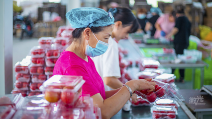 微光丨90后四川女孩的陜西“柿”業(yè)