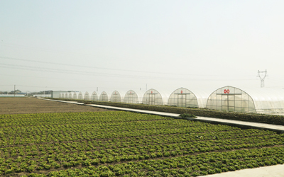 "綠色"種植的倡導(dǎo)者--人民健康網(wǎng)--人民網(wǎng)