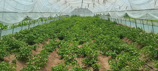 陜西府谷縣白云鄉(xiāng)村:刷新外觀“顏值” 提升內(nèi)在“氣質(zhì)”