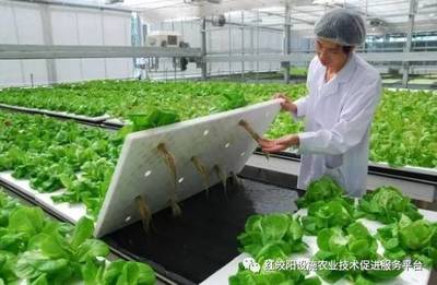 未來火星上種蔬菜--探秘最牛的植物工廠!