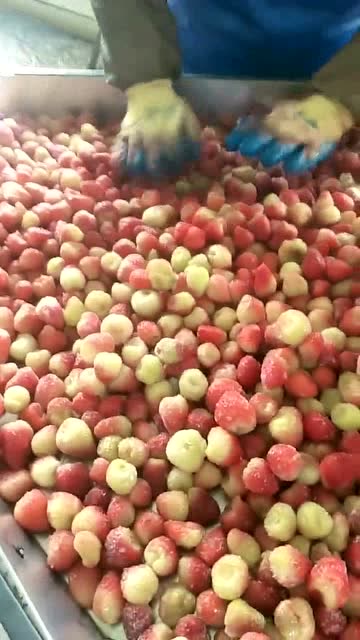 等進了食品廠才發現,草莓醬都是用這種草莓,不敢吃了