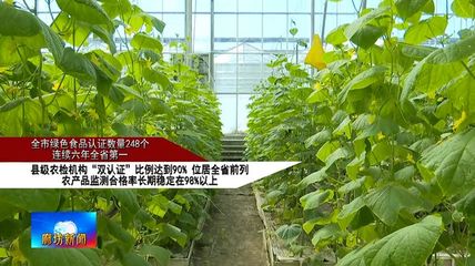 廊坊廣電·頭條丨我市大力推進"國家農產品質量安全市"創建 守護群眾"舌尖上的安全"