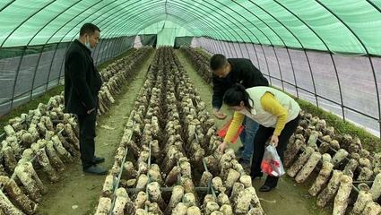 樂安縣戴坊鎮(zhèn)積極開展農(nóng)產(chǎn)品農(nóng)藥殘留檢測工作