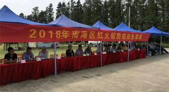 南海區(qū)人民政府門戶網(wǎng)站