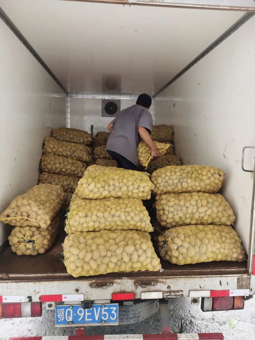 馬爾科 ,村民走上致富路的 神器