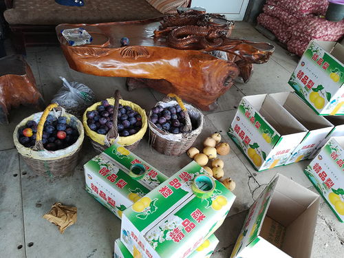 海淀區(qū)農(nóng)委完成中秋國慶期間 種植業(yè)食用農(nóng)產(chǎn)品農(nóng)藥殘留抽檢工作