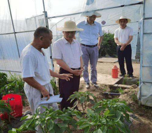 蔡緒安到閻家河鎮(zhèn)調(diào)研防汛 交通 農(nóng)業(yè)等重點(diǎn)工程項(xiàng)目建設(shè)