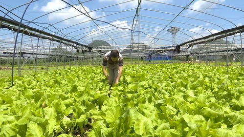 大化 30歲生日啦 現(xiàn)在居然有了那么多好東西