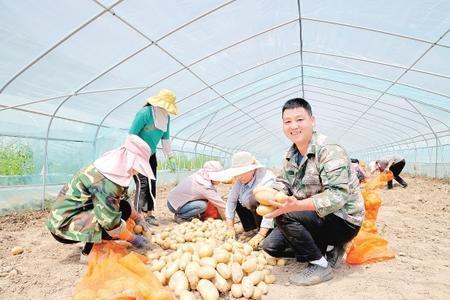 圖片新聞 康縣景盛種植農(nóng)民專業(yè)合作社大力發(fā)展特色農(nóng)產(chǎn)品種植