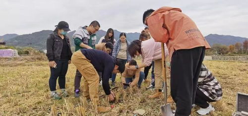 安徽黟縣 科技創(chuàng)新為農(nóng)企發(fā)展賦能