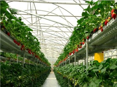 全經(jīng)聯(lián)幸福產(chǎn)業(yè)智庫(kù)永靖之行