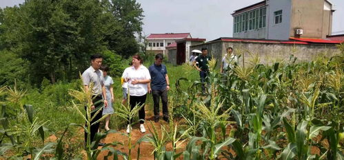 互聯(lián)網(wǎng)+鄉(xiāng)村振興服務(wù)團(tuán)隊赴連墩村考察農(nóng)產(chǎn)品種植