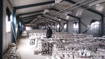 虛擬照進(jìn)現(xiàn)實 熱門網(wǎng)游場景在遵化幻化為農(nóng)產(chǎn)品種植新藍(lán)圖