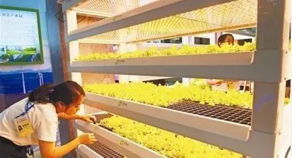 2018世界制造業(yè)大會 創(chuàng)新農(nóng)業(yè)開拓農(nóng)產(chǎn)品制造新思路