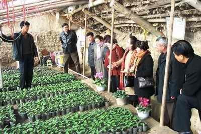 新疆維吾爾自治區(qū)無公害農(nóng)產(chǎn)品種植與保護(hù)辦法