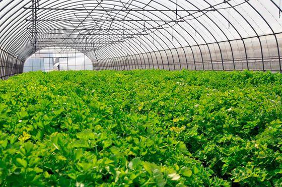 珍綠尚品 有機農業未來發展的五大趨勢