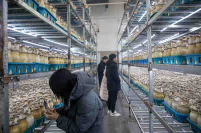 聚焦青島西海岸新區 農產品區域公用品牌全國媒體聯合采風活動正式啟動