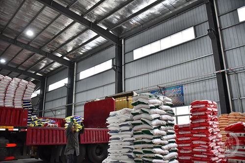 寒潮來襲，全力保障民生物資供應與農產品種植穩定