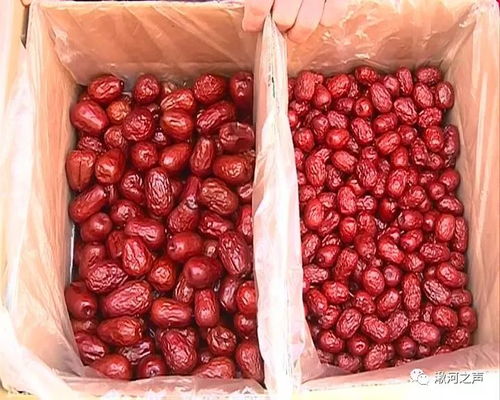 臨縣八大類百余種綠色農產品年貨走俏省城，淺析農產品種植之道