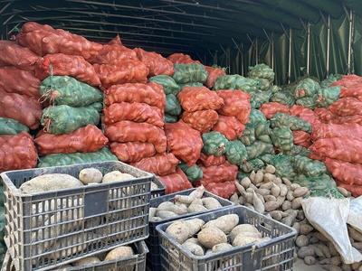 浙江桐廬合村鄉 訂單式種植開辟農產品產銷新路徑