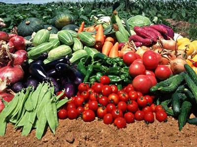 數字農業農村 破解農產品品質困局的新路徑