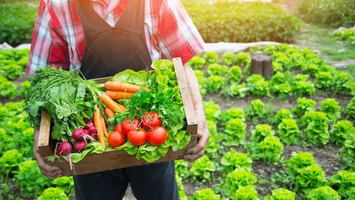 中食展聚焦鄉村振興，助力中國農產品新增長