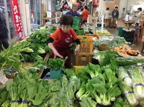 農產品價格高，怪批發市場還是種植環節？